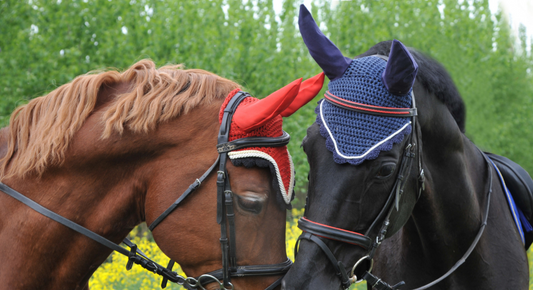 Top Picks for Essential Horse Tack in 2025