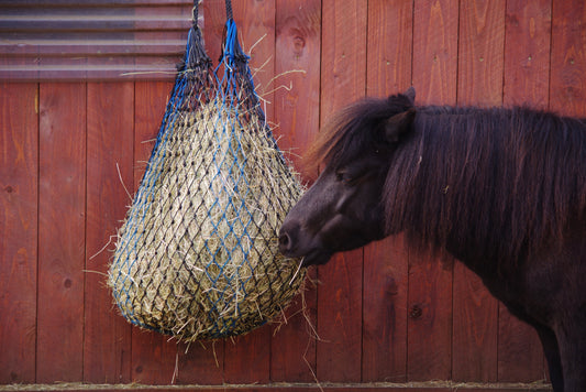 How to Choose the Best Hay Bags for Horses – A Complete Guide