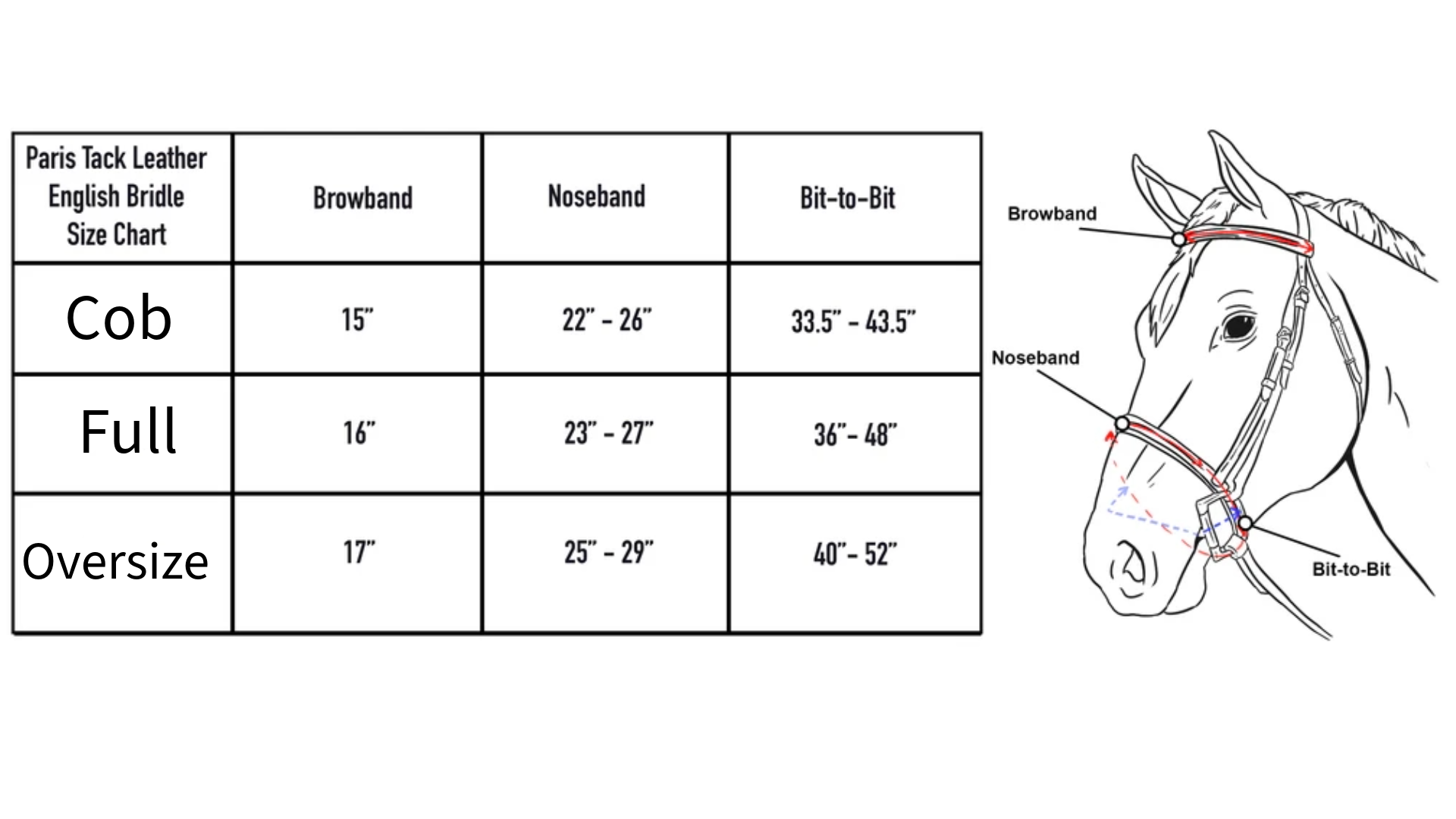 Paris Tack Classic Flat Leather English Hunt Bridle with Laced Reins size chart