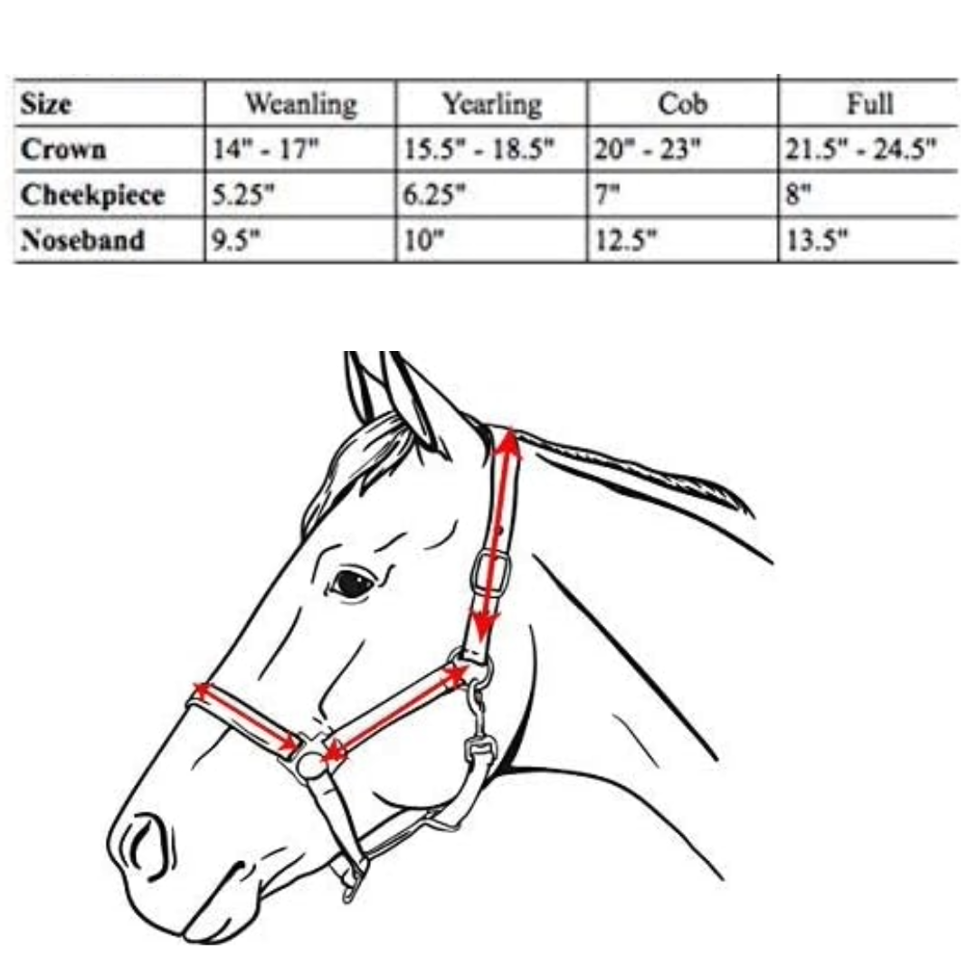 Derby Originals English Opulence Series - Cambridge - Triple Stitch Leather Halter size chart