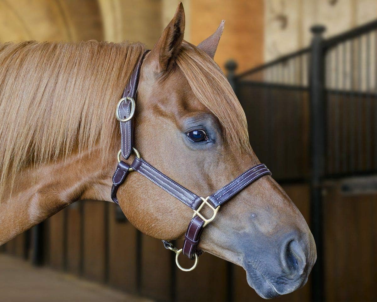 Derby Originals Triple Stitched Double Layer Premium Leather Adjustable Horse Halter  pic