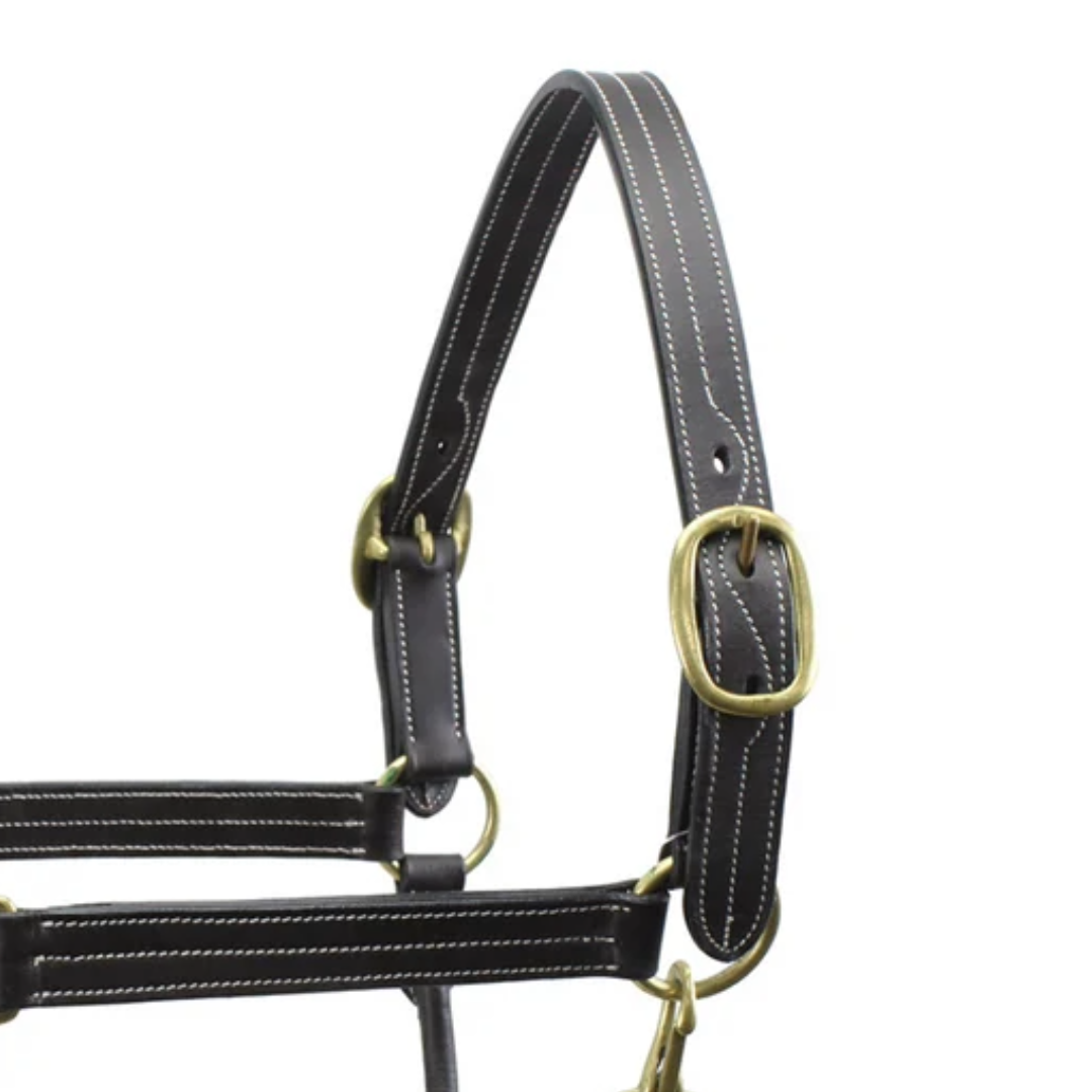 Double Layer Premium Leather Adjustable Horse Halter 