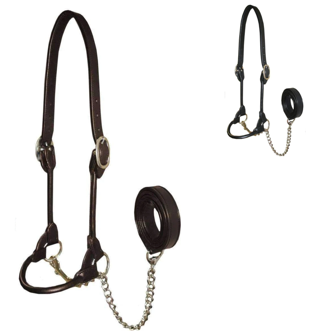 Derby Originals New and Improved Premium Round Rolled Leather Cattle Show Halter 