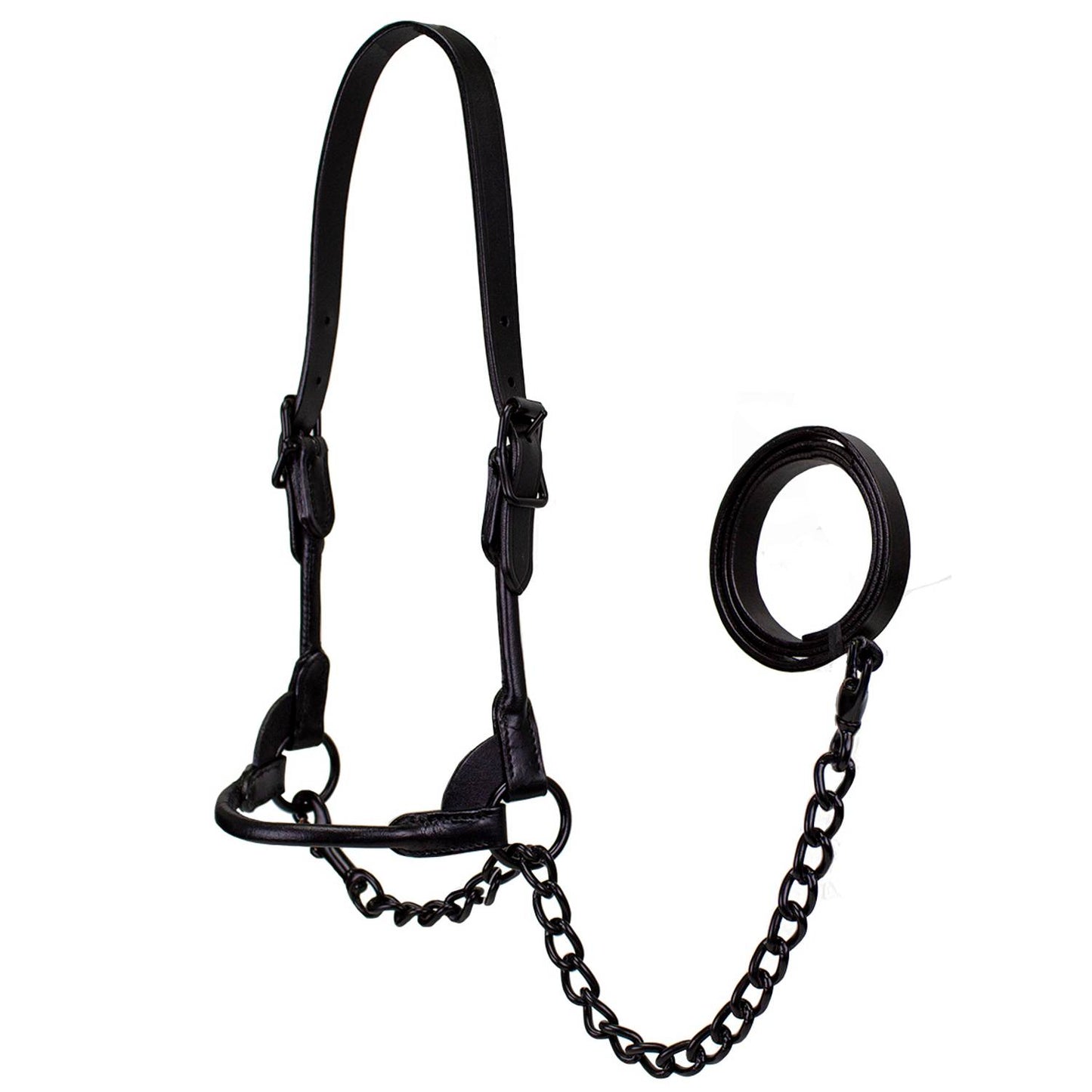 Derby Midnight All Black Premium Round Rolled Leather Cattle Show Halter