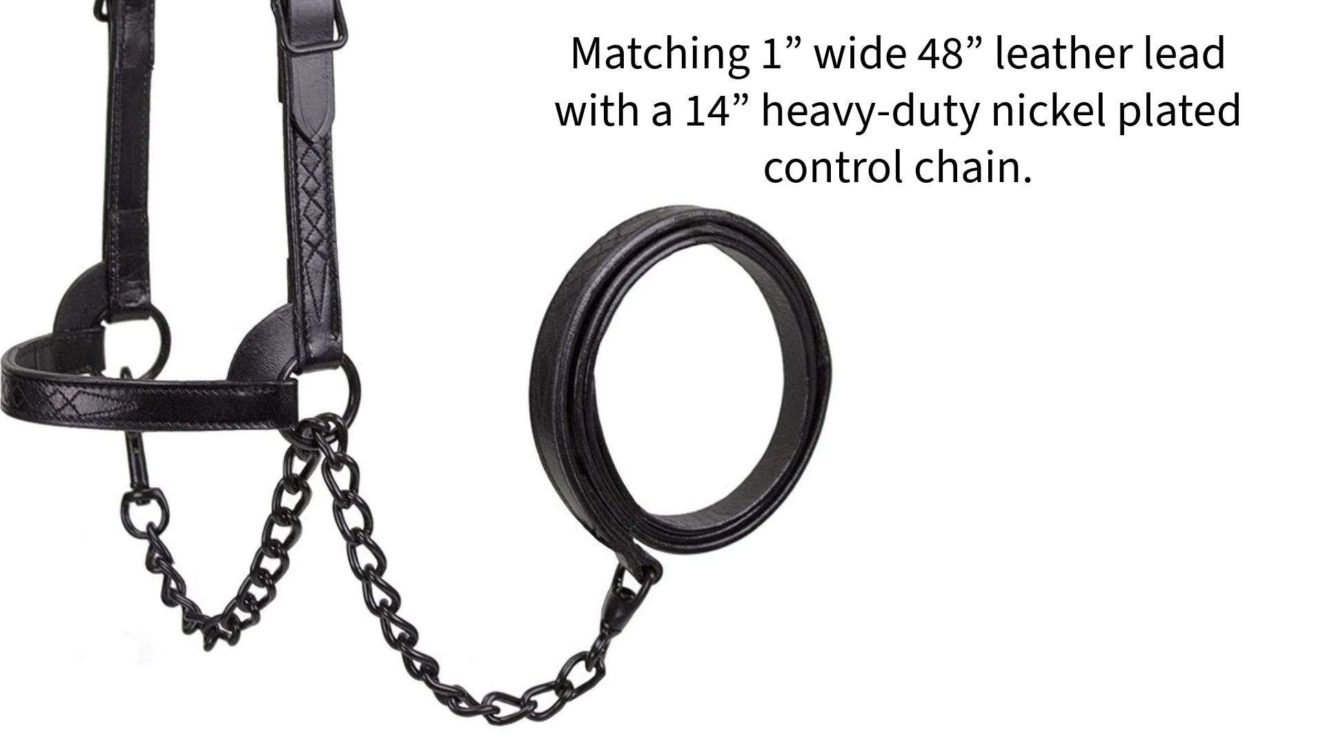 Derby Midnight All Black Premium Flat Fancy Stitch Leather Cattle Show Halter with Matching Chain Lead Image Video