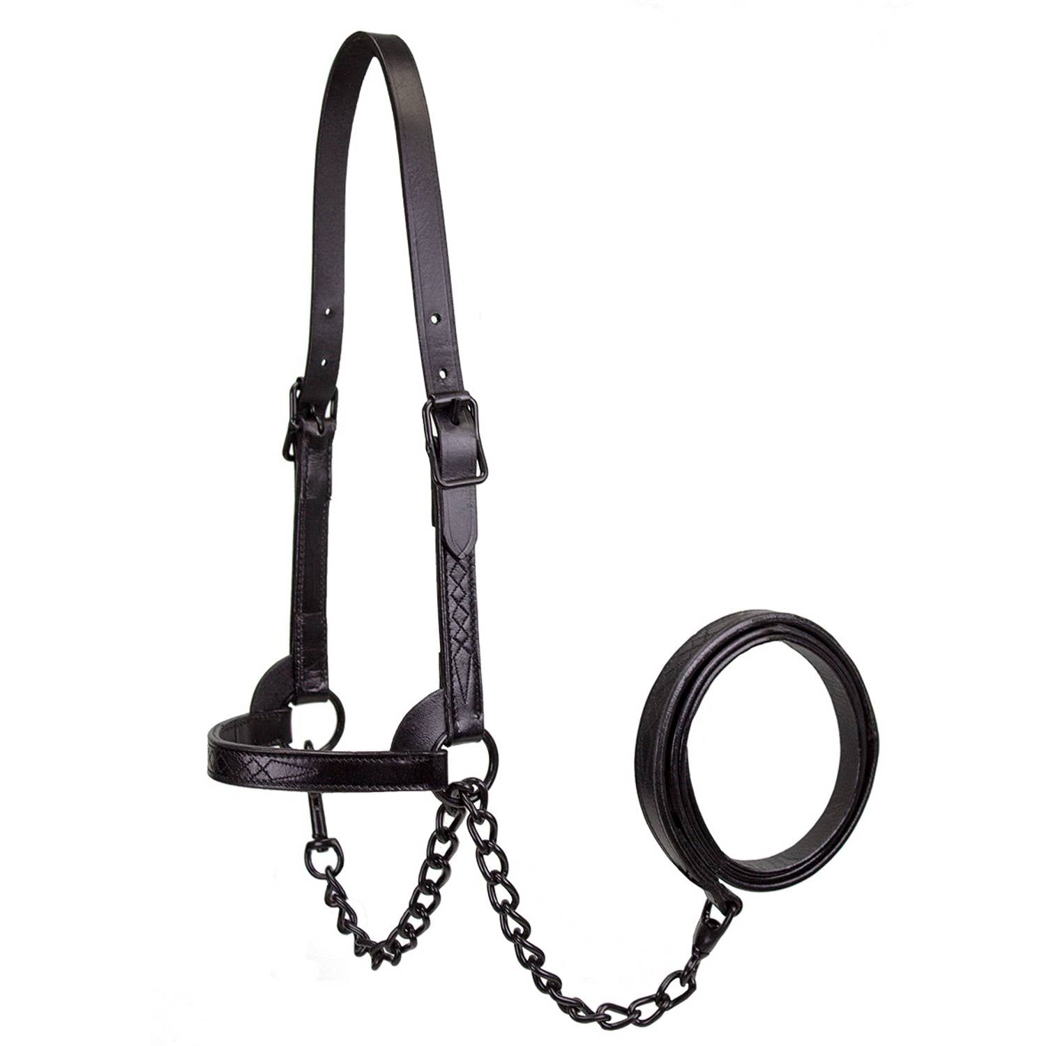 Premium Flat Fancy Stitch Leather Cattle Show Halter with Matching Chain Lead