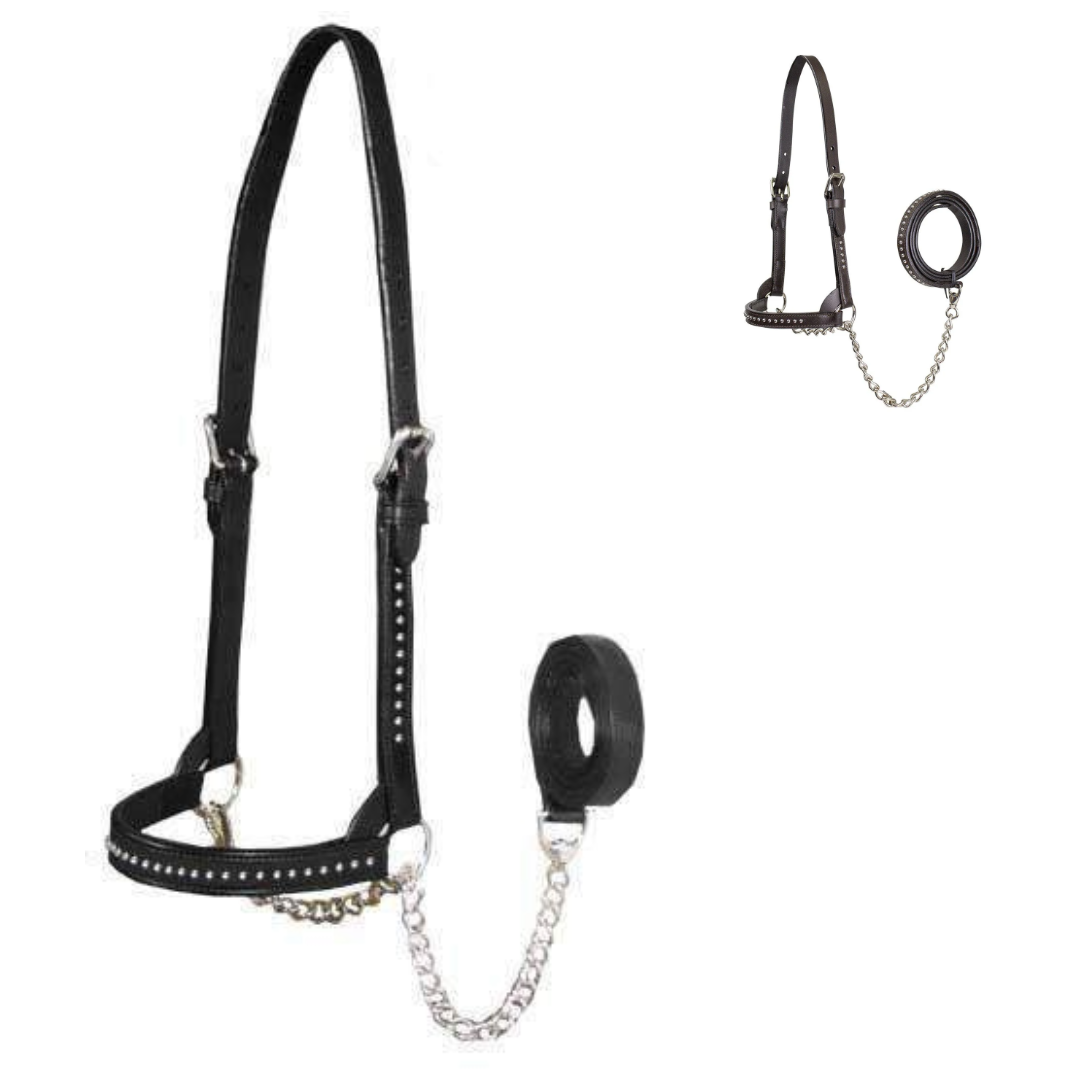 Derby New and Improved Premium Show Spotted Flat Leather Cattle Show Halter