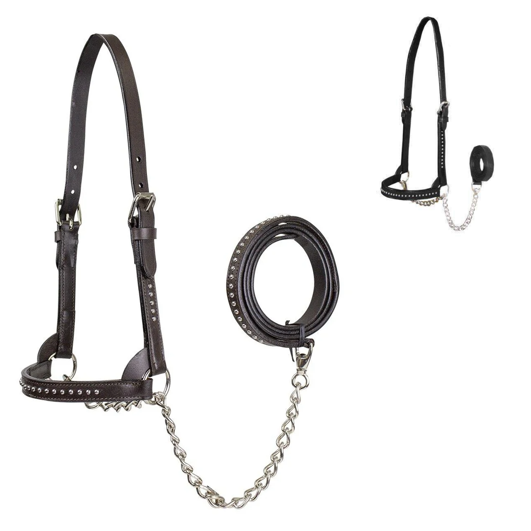  Improved Premium Show Spotted Flat Leather Cattle Show Halter