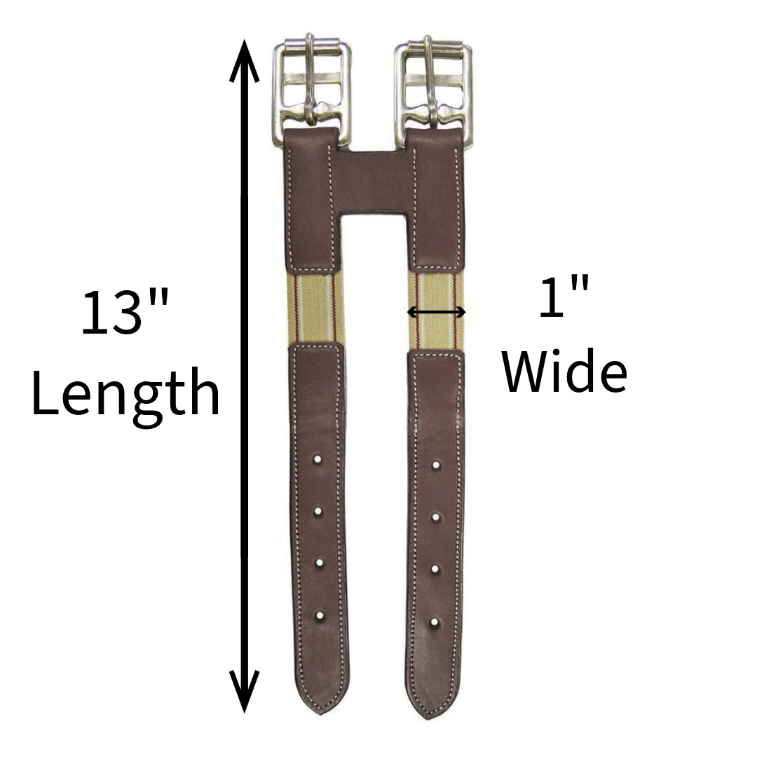 Derby Originals Paris Tack Leather English Girth Extender with Stainless Steel Buckles and Double Layer Elastic - 1 Year Warranty.