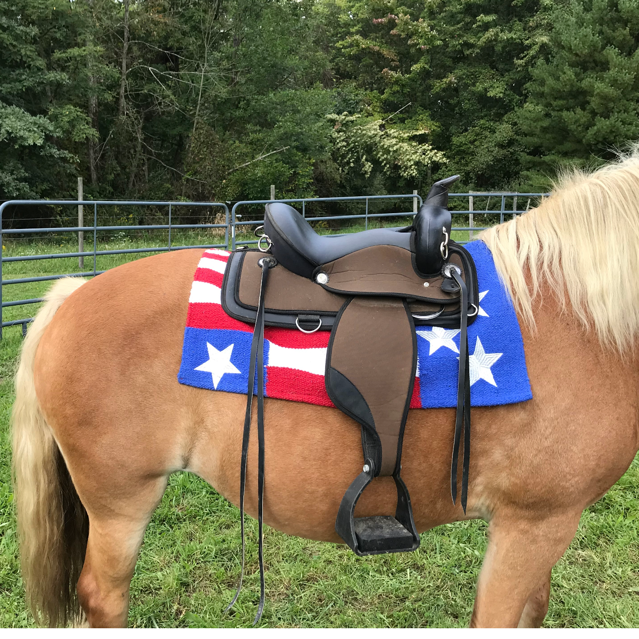 Tahoe Tack Stars and Stripes American Flag Acrylic Western Saddle Blanket 32" x 32" pat on horse