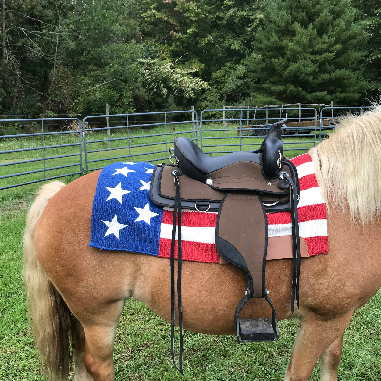 New Zealand Wool Western Saddle Blanket