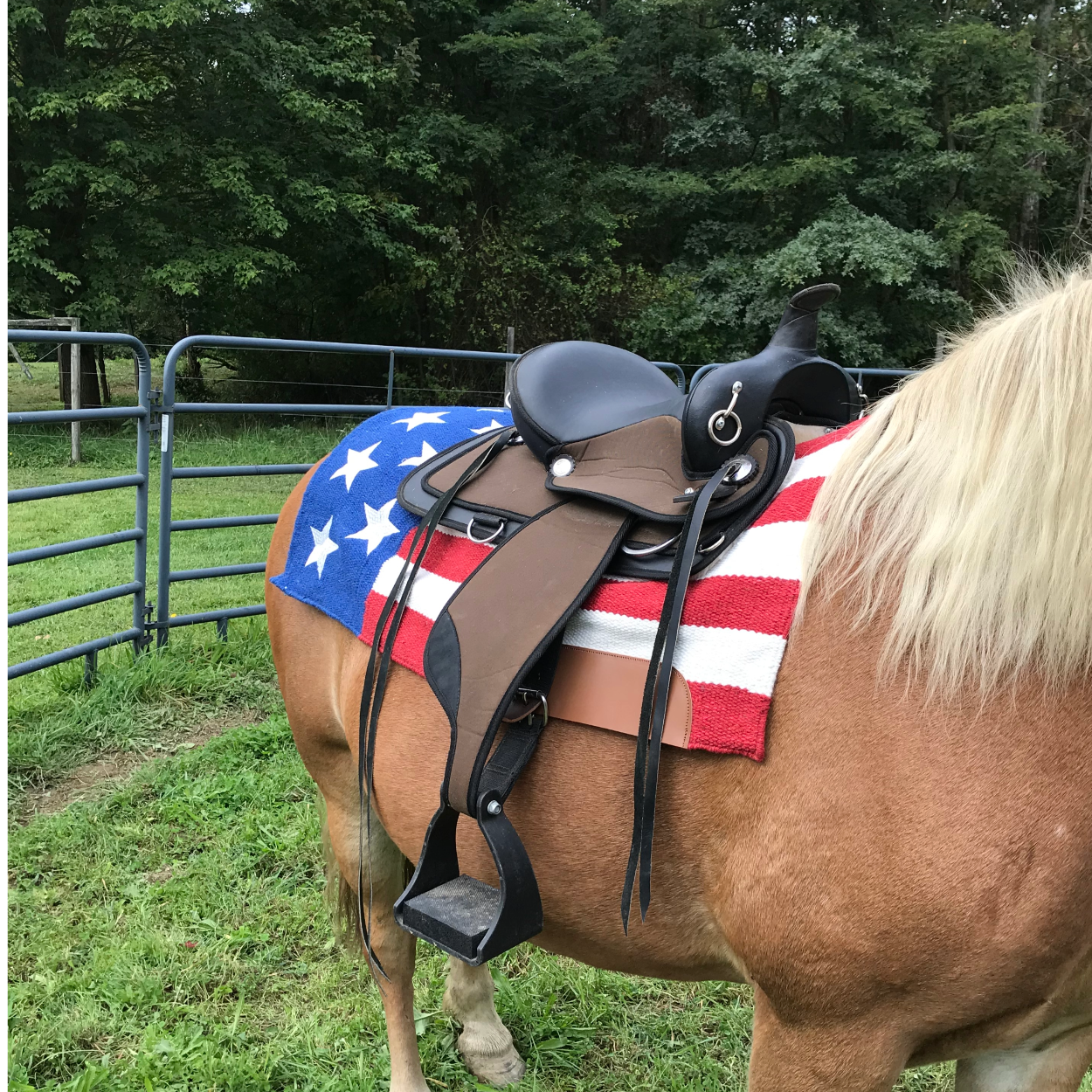 Wool Western Saddle Blanket