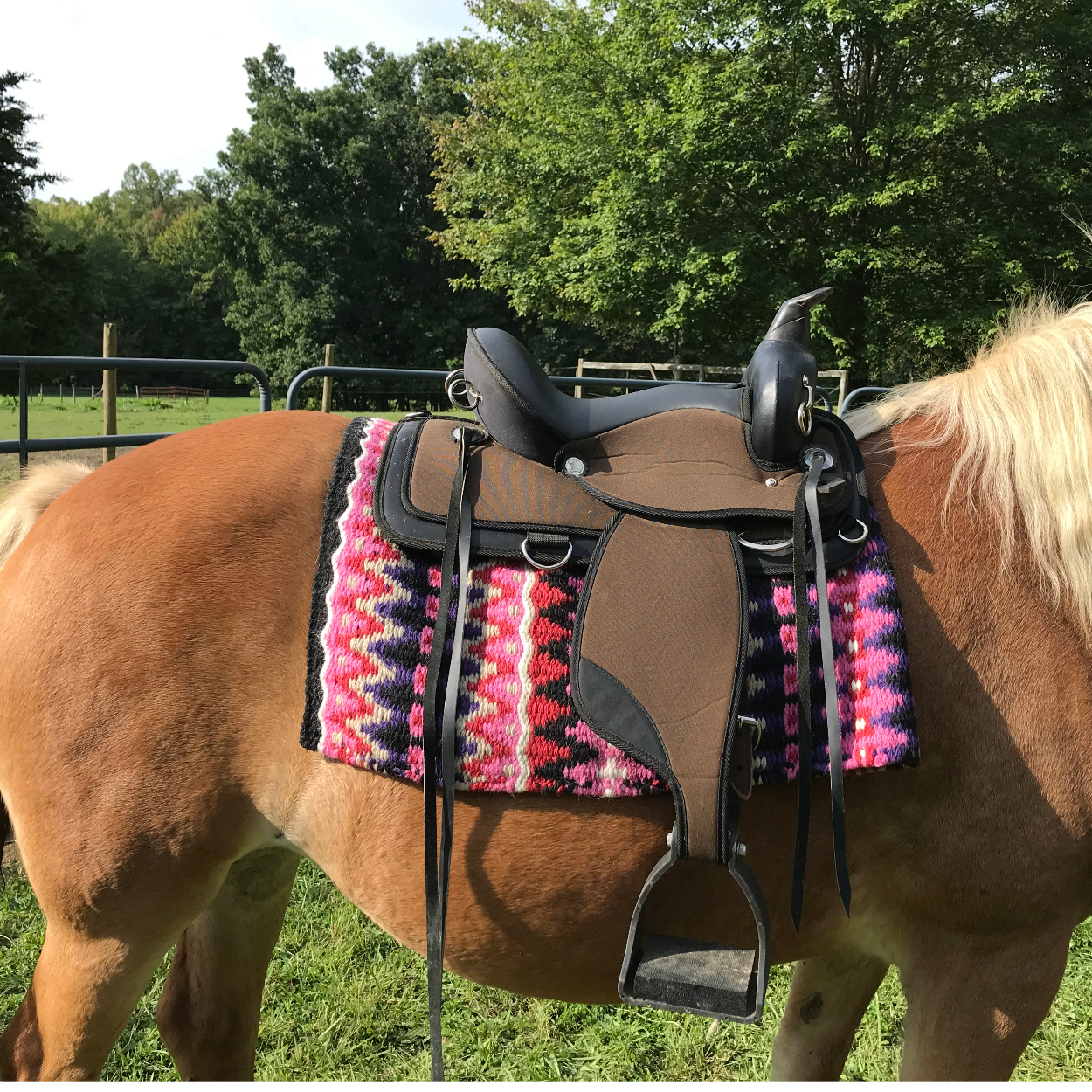 Tahoe Tack 34" x 38" Reya New Zealand Wool Western Show Saddle Blanket Pink