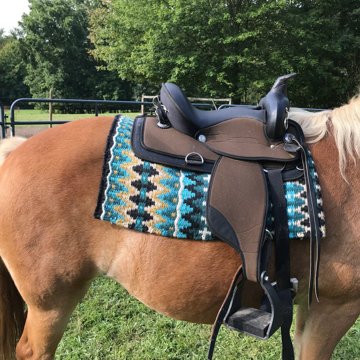 Reya New Zealand Wool Western Show Saddle Blanket