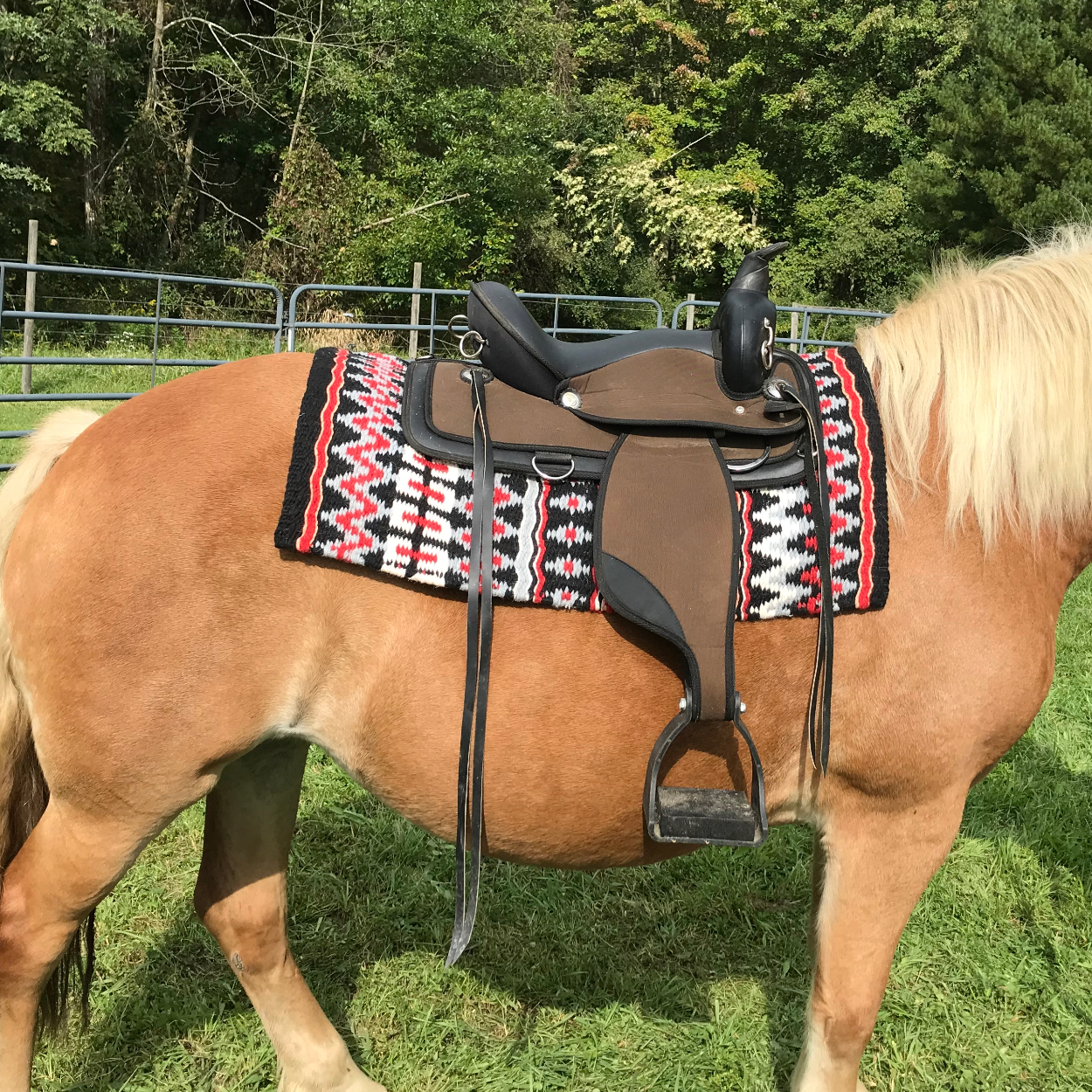 Tahoe Tack 34" x 38" Livia New Zealand Wool Western Show Saddle Blanket Red on horse