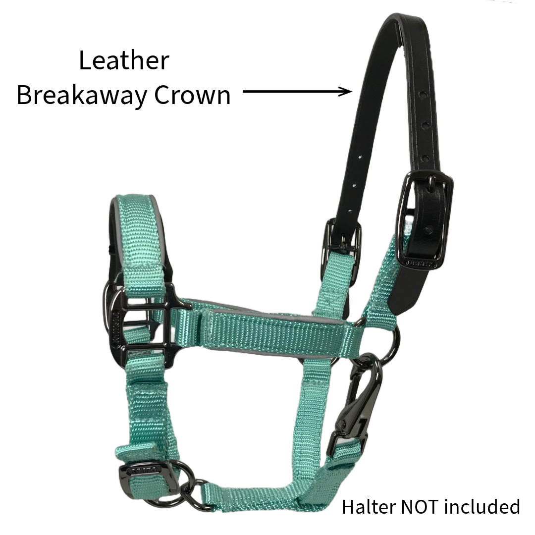 Tahoe Tack Replacement Leather Breakaway Crown for Mini Horse Halters On Halters