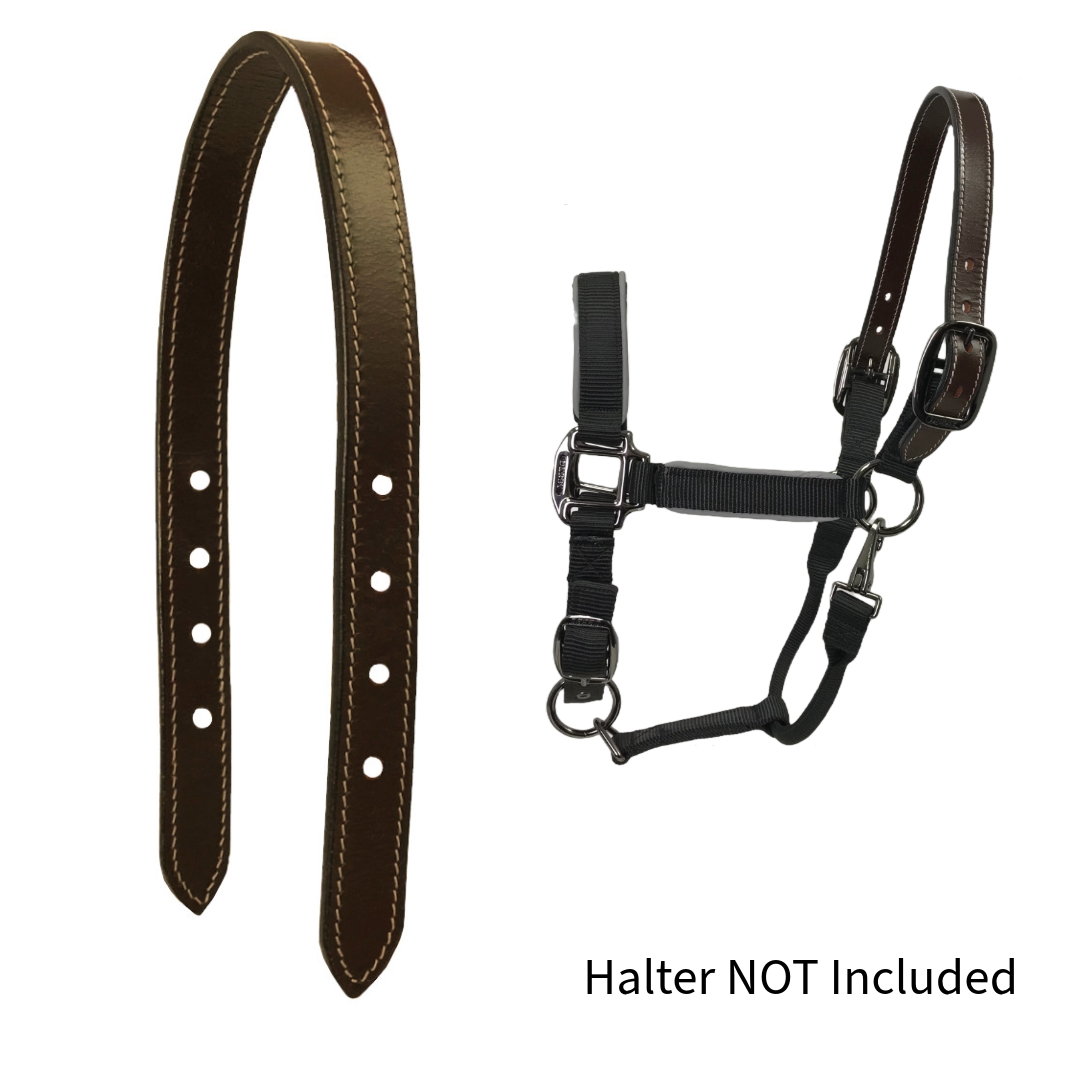 Tahoe Tack  Replacement Leather Breakaway Crown for Halters 