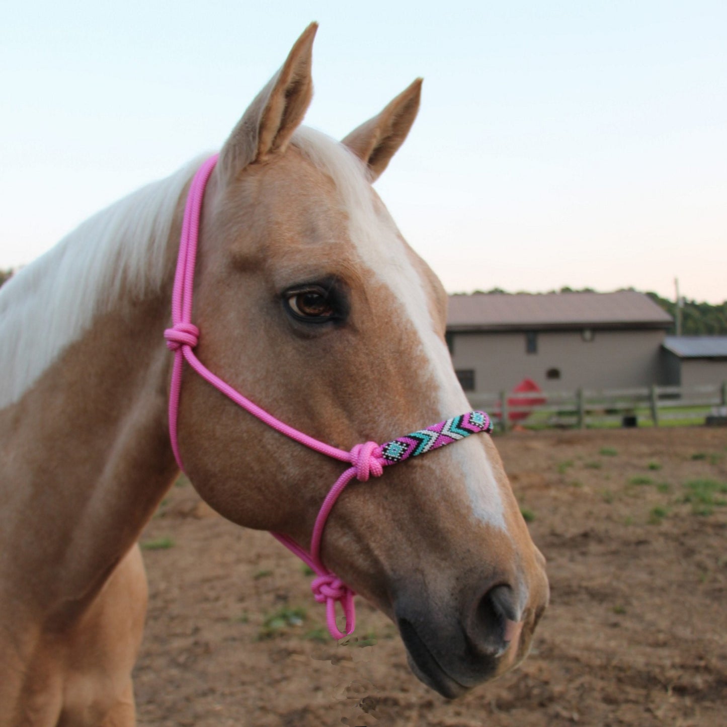 Tahoe Tack Copper Tip Series Braided Rope Horse Halter – Navajo Beaded Noseband, Cowboy Knots, with 10 Ft Lead & 1-Year Warranty