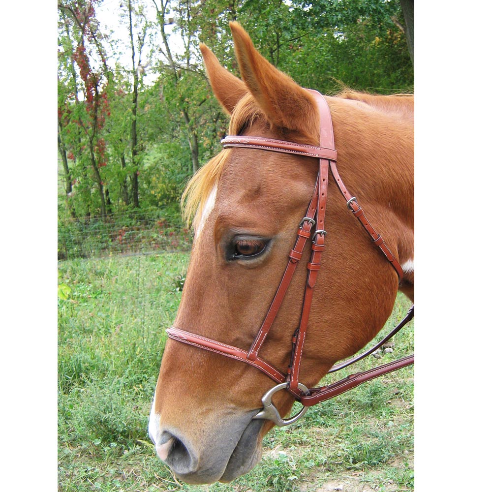 Round Raised Double Fancy Stitch Bridle w/ matching Laced Reins - Paris Tack Banner Image