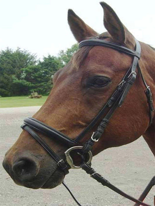 PARIS TACK OPULENT SERIES CLASSIC DRESSAGE BRIDLE WITH CRANK NOSEBAND AND FLASH ATTACHMENT