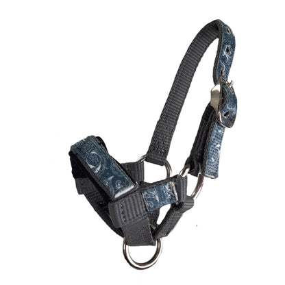 Tahoe Tack Nylon Overlay Alpaca Halter with Padded Noseband grey