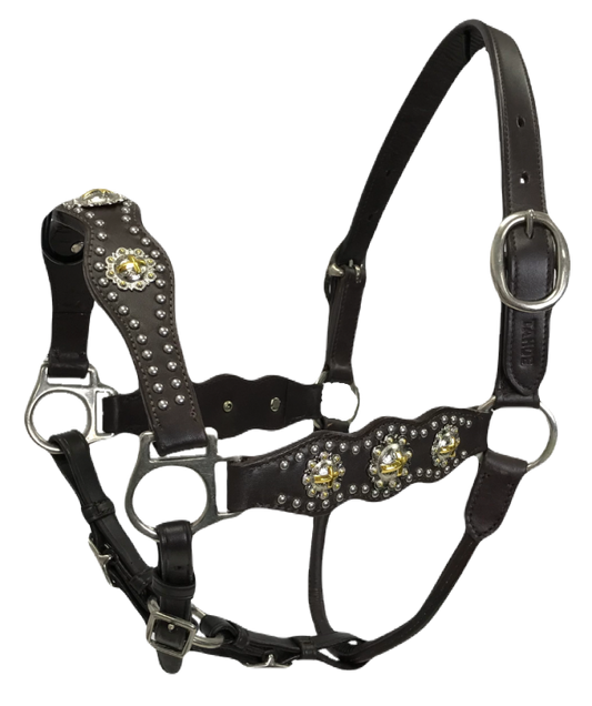 CROSS CONCHO HALTER WITH SPOTS AND ADJUSTABLE NOSE AND CHIN STRAPS -USA LEATHER