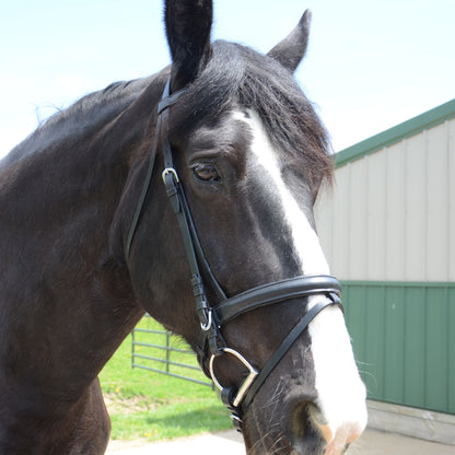 Paris Tack Dressage Crank Bridle with Flash and Rubber Reins Main Image