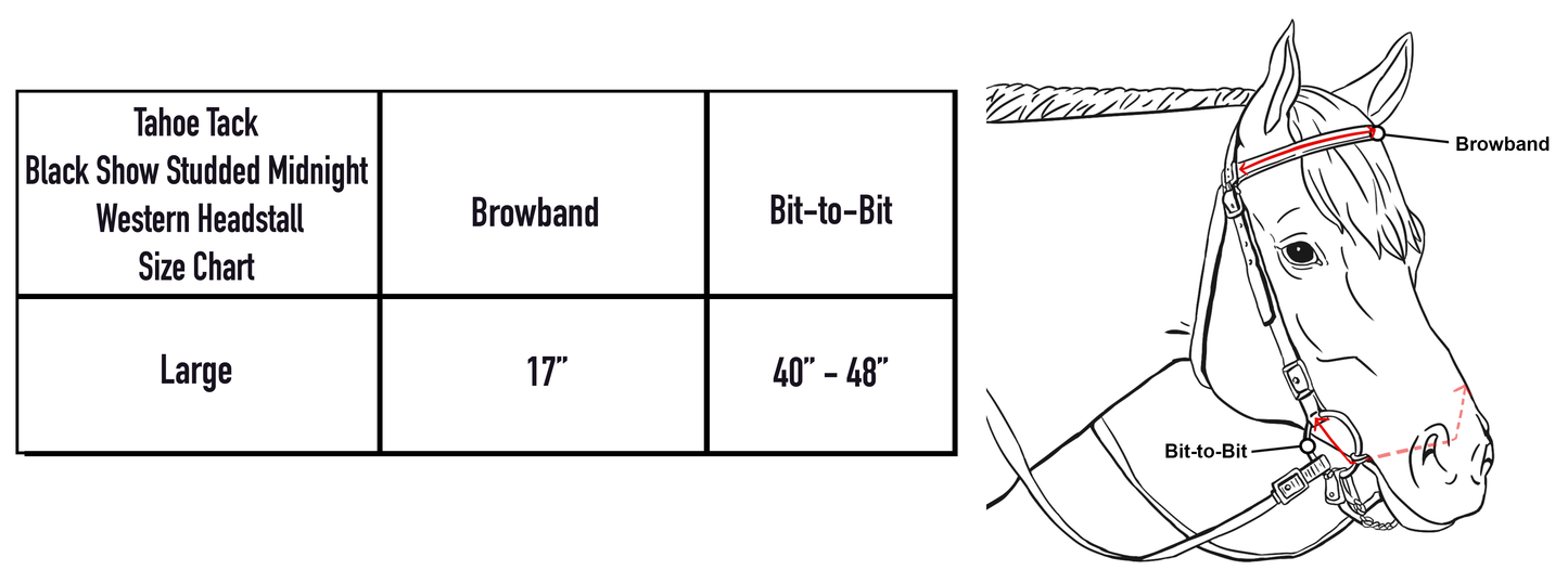 Tahoe Tack Black Show Studded Midnight Western Browband Headstall with Matching Reins
