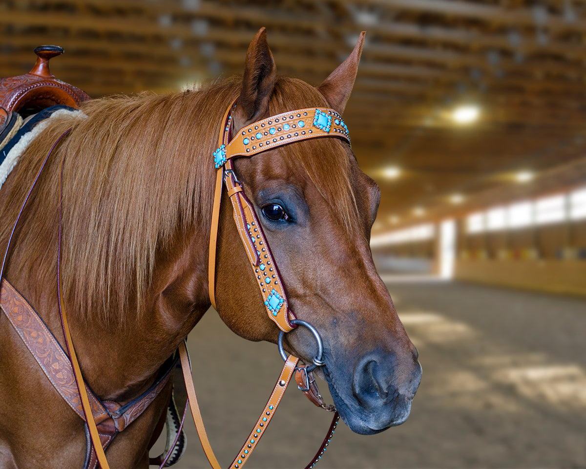 Tahoe Tack Turquoise Spotted Show Western Leather Browband Headstall with Matching Split Reins Banner Image