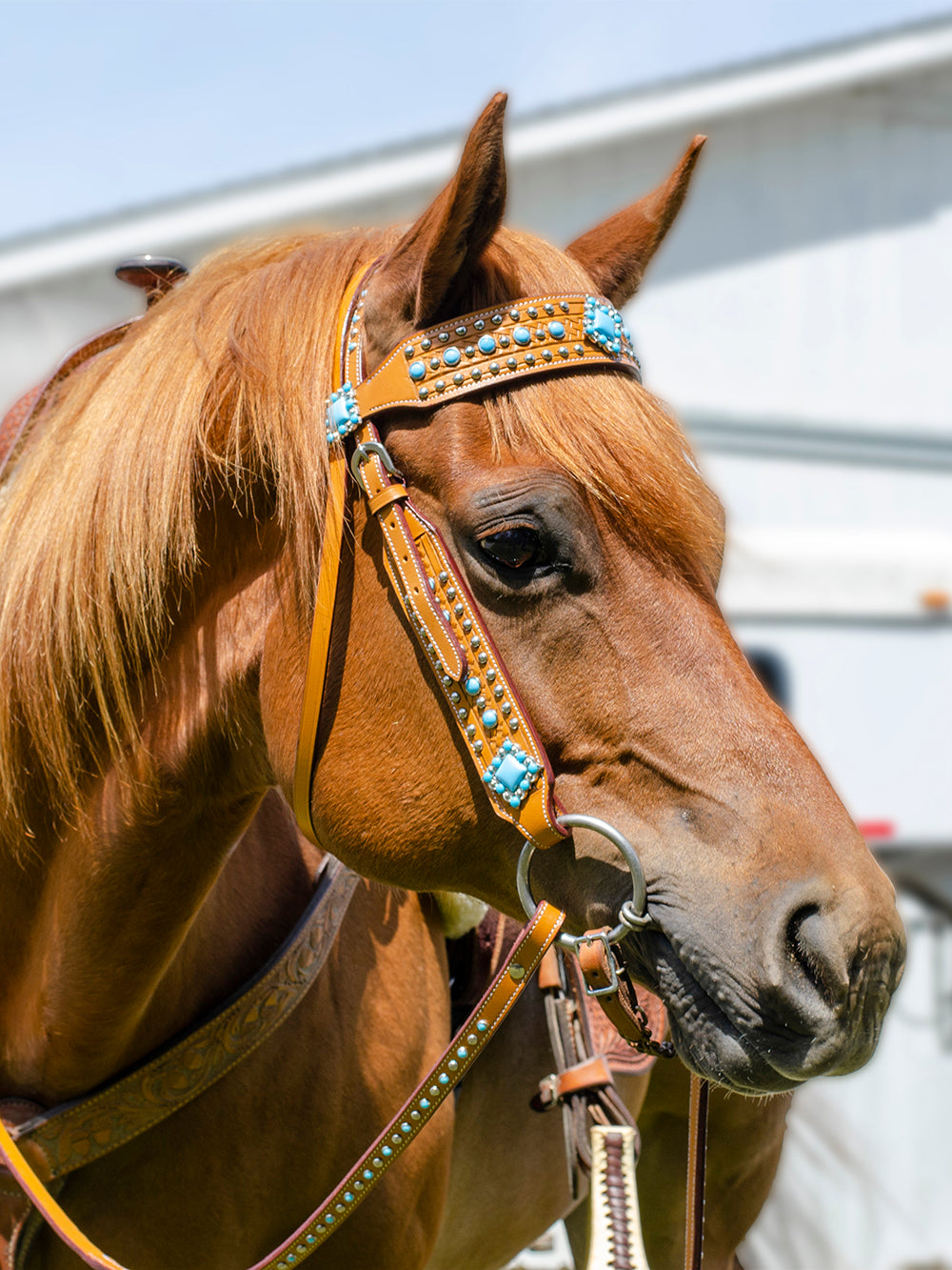 Tahoe Tack Turquoise Spotted Show Western Leather Browband Headstall with Matching Split Reins Main Image