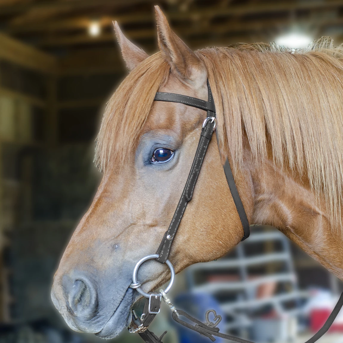 Tahoe Tack Double Stitched Flat Leather Western Browband Headstall whitestich