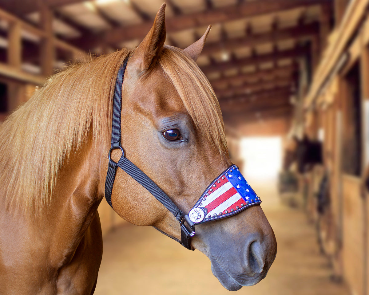 Tahoe Tack Patriotic Hand-Painted American Flag Bronc Halter with Crystals