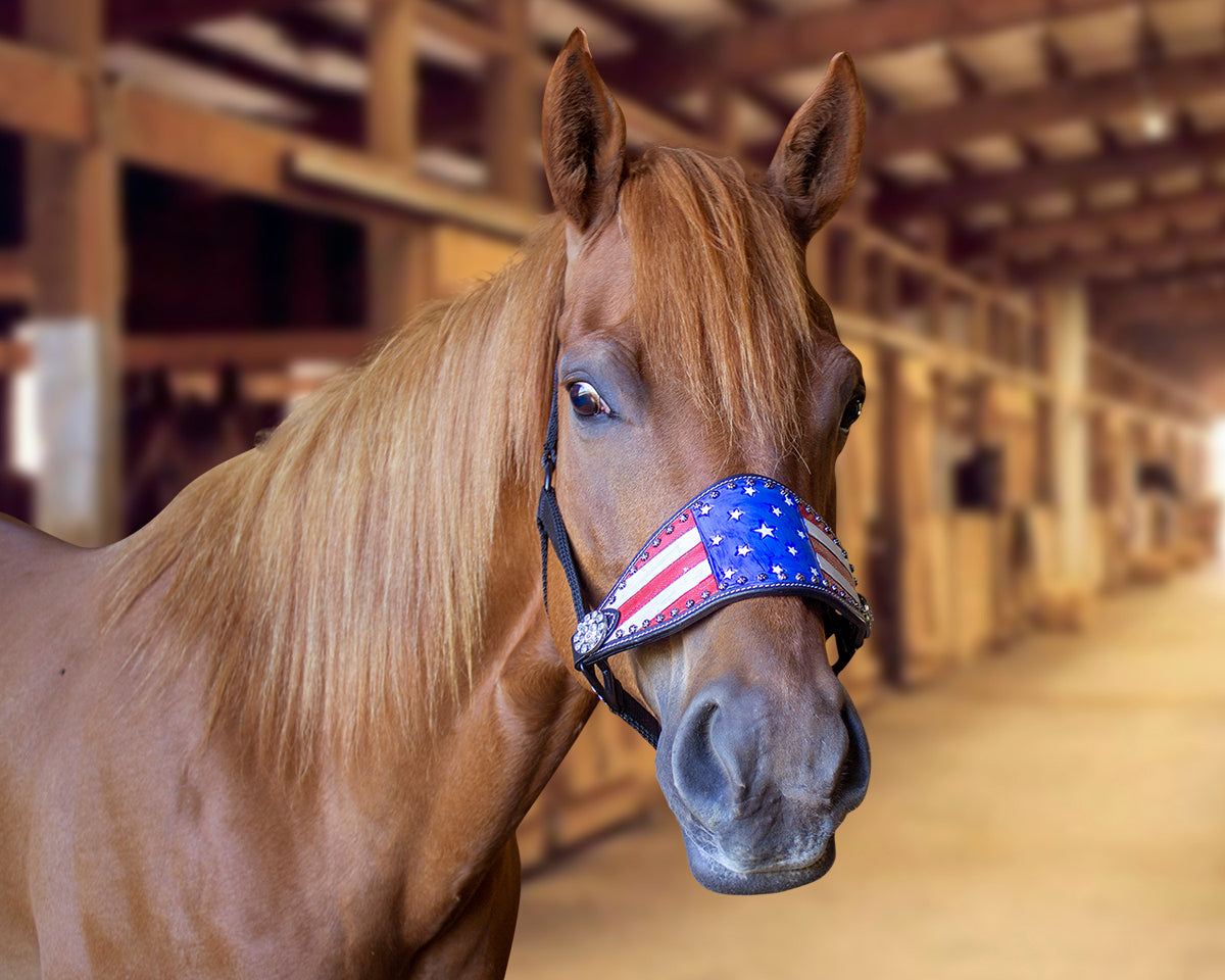 Tahoe Tack Patriotic Hand-Painted American Flag Bronc Halter with Crystals