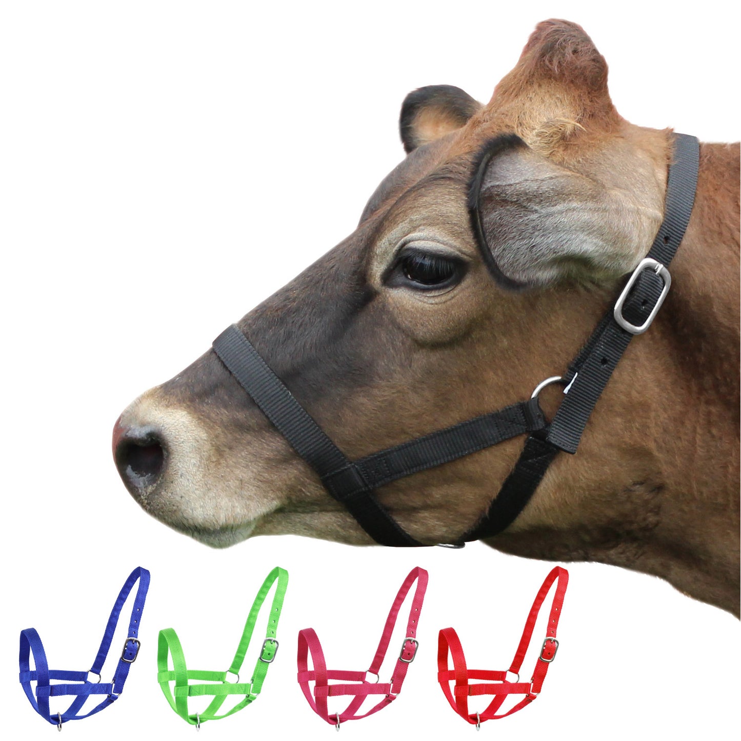 Derby Originals Adjustable Nylon Livestock Cattle Halters Black