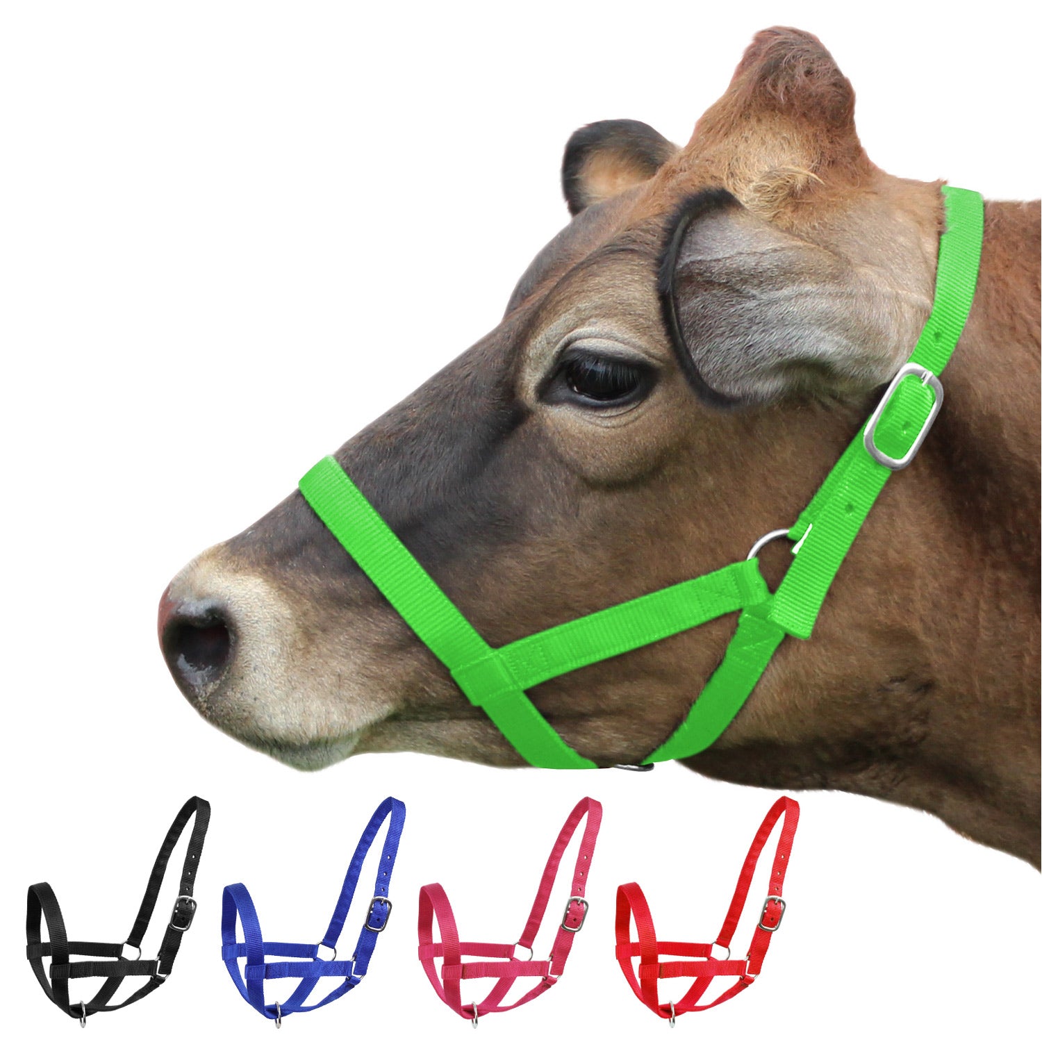 Derby Originals Adjustable Nylon Livestock Cattle Halters Green 