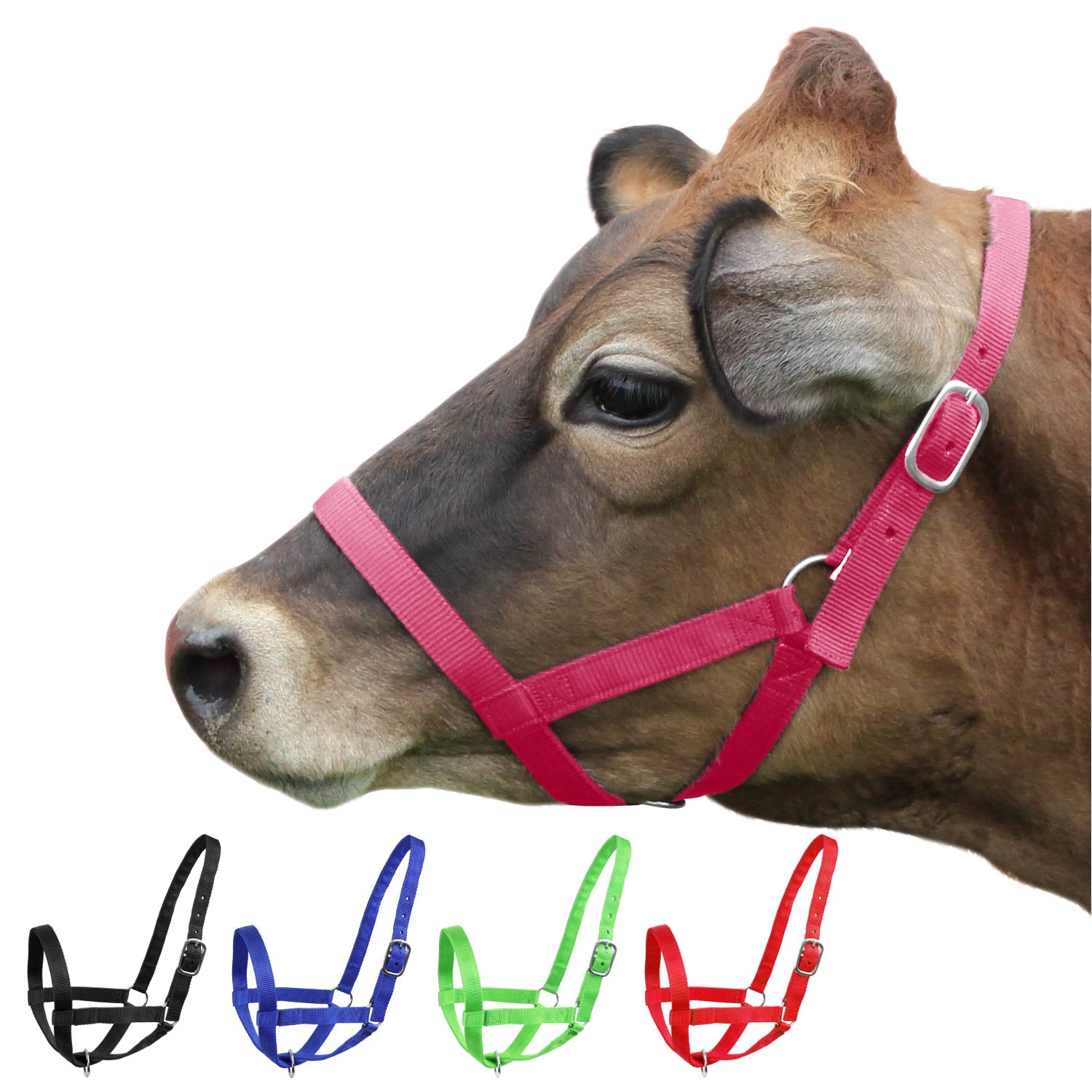 Derby Originals Adjustable Nylon Livestock Cattle Halters Pink