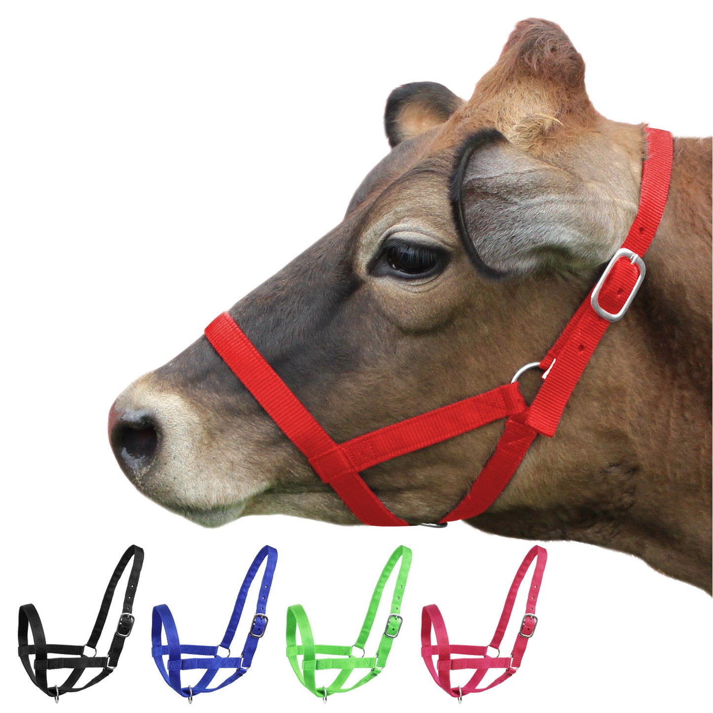 Derby Originals Adjustable Nylon Livestock Cattle Halters Red