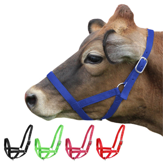 Derby Originals Adjustable Nylon Livestock Cattle Halters