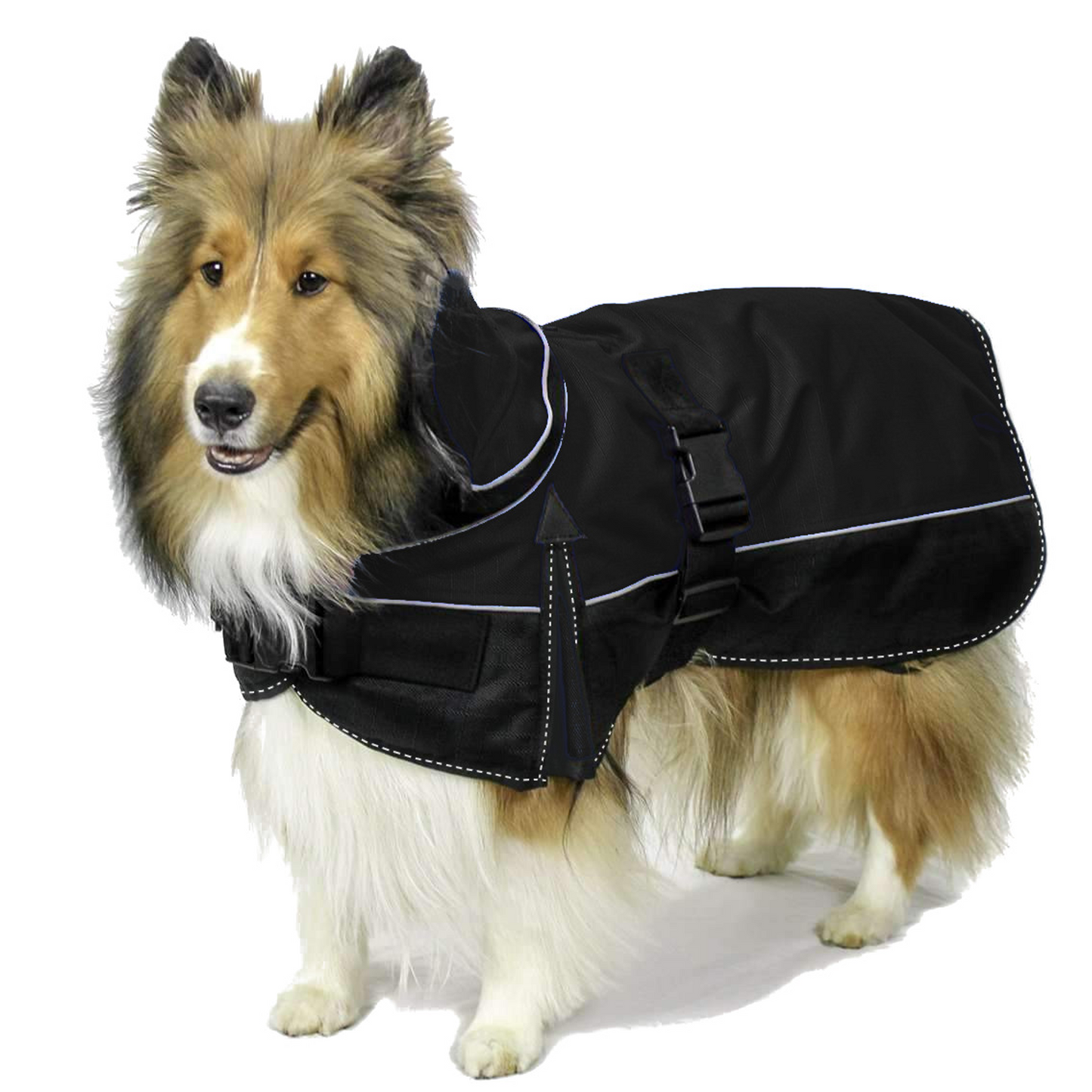 Medium Weight Winter Dog Coat with Neck Cover Hood Elastic leg straps All black