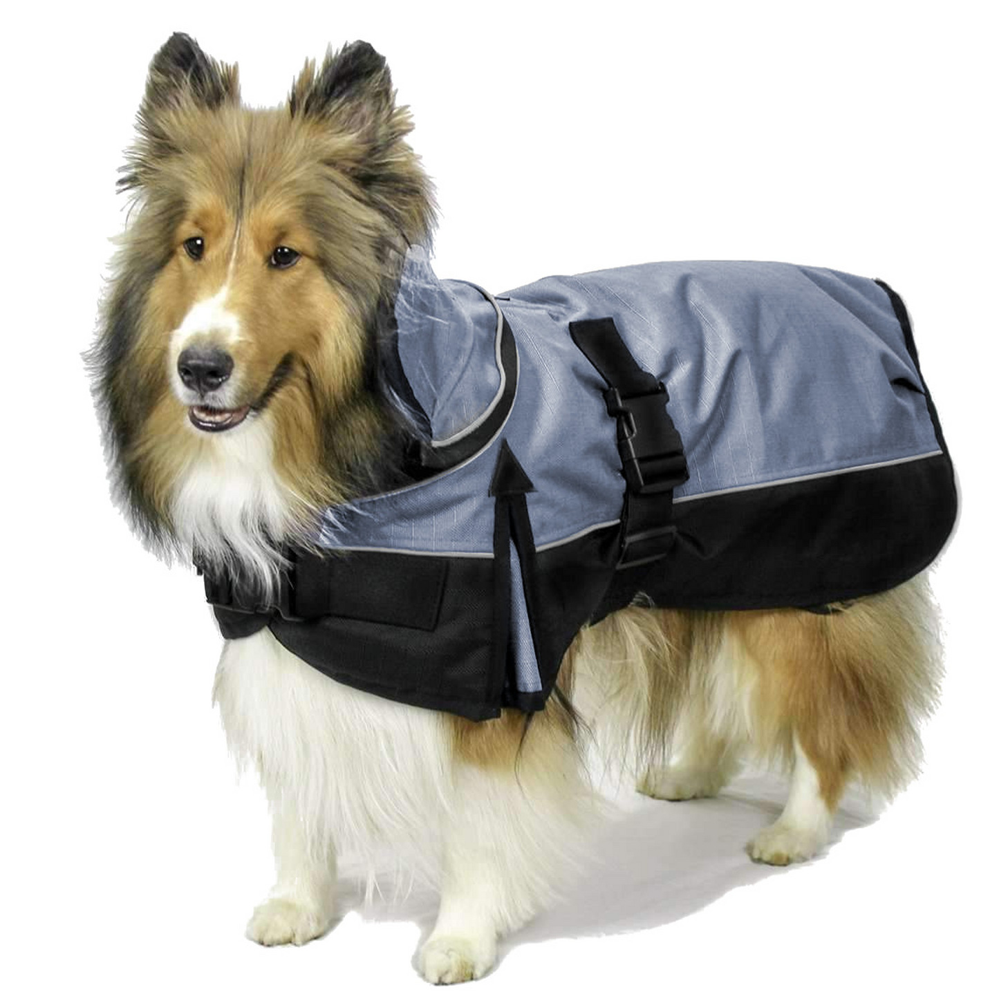 Medium Weight Winter Dog Coat with Neck Cover Hood Elastic leg straps Main Charcoal black