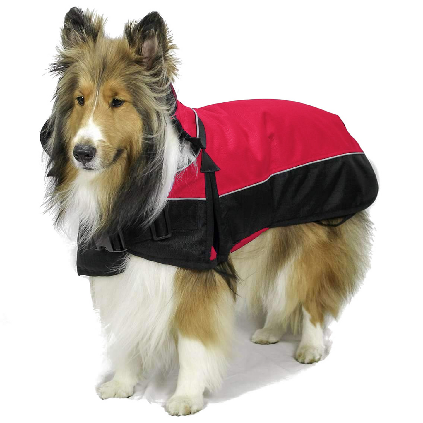 Medium Weight Winter Dog Coat with Neck Cover Hood Elastic leg straps Red black