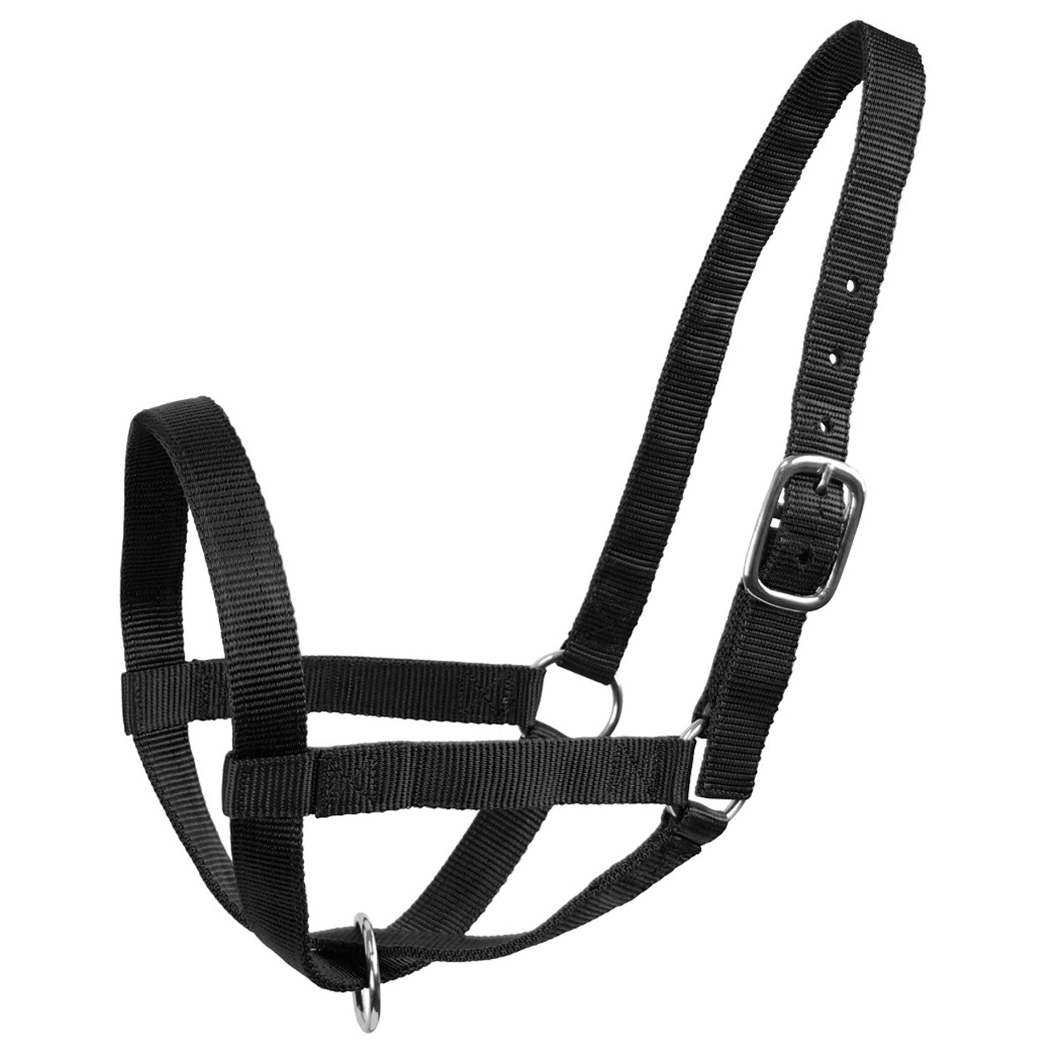 Derby Originals Adjustable Nylon Livestock Cattle Halters Black Color