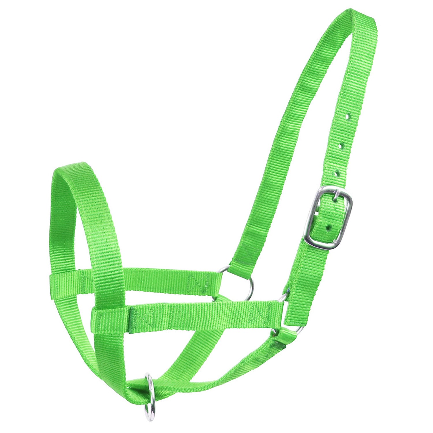 Derby Originals Adjustable Nylon Livestock Cattle Halters Green color