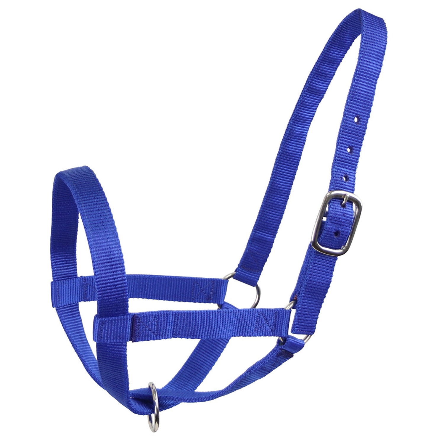 Derby Originals Adjustable Nylon Livestock Cattle Halters Color Blue