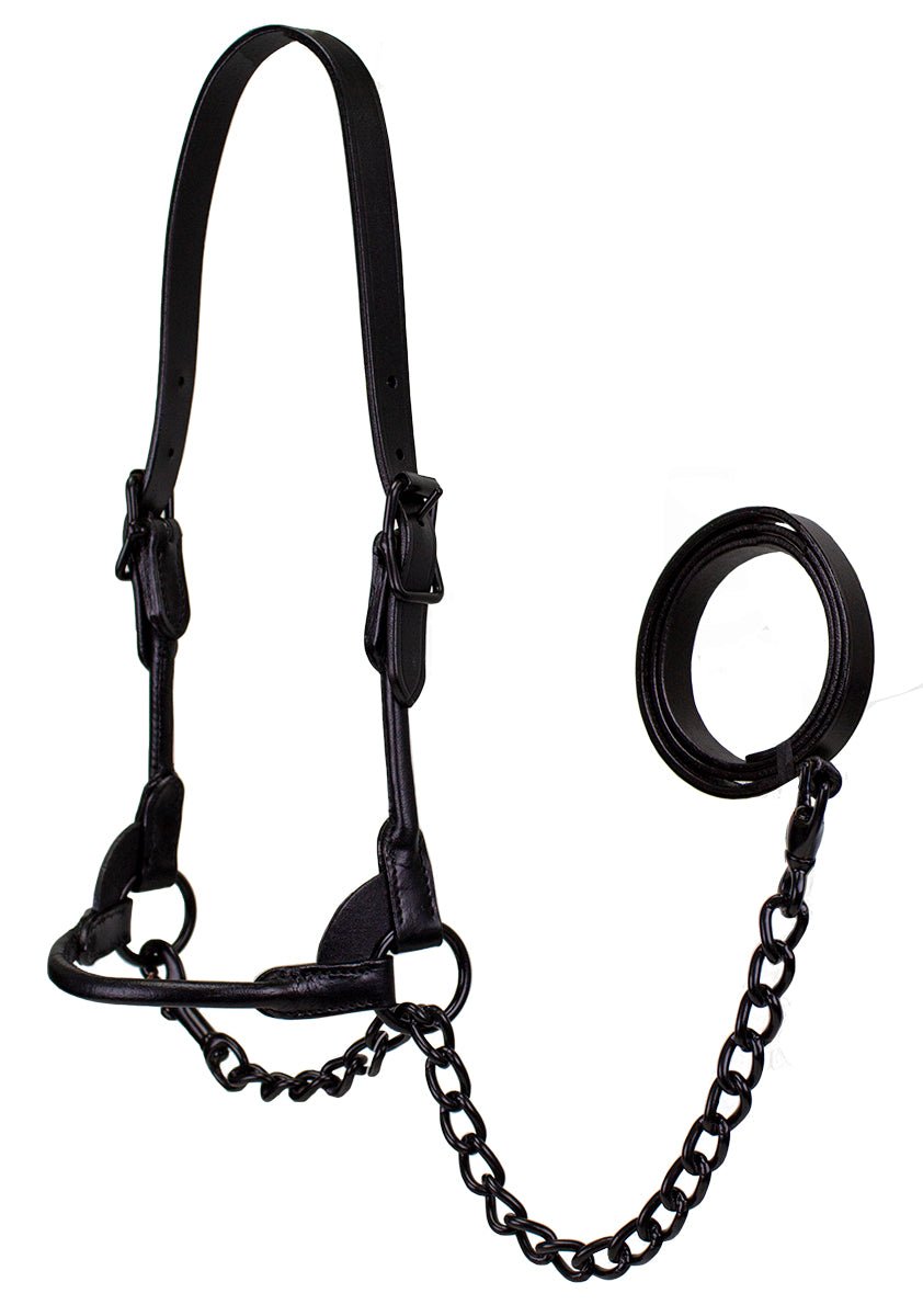 All Black Premium Round Rolled Leather Cattle Show Halter 