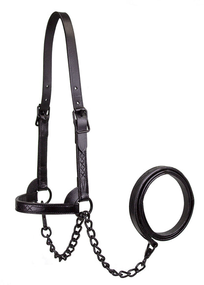 Derby Midnight All Black Premium Flat Fancy Stitch Leather Cattle Show Halter with Matching Chain Lead