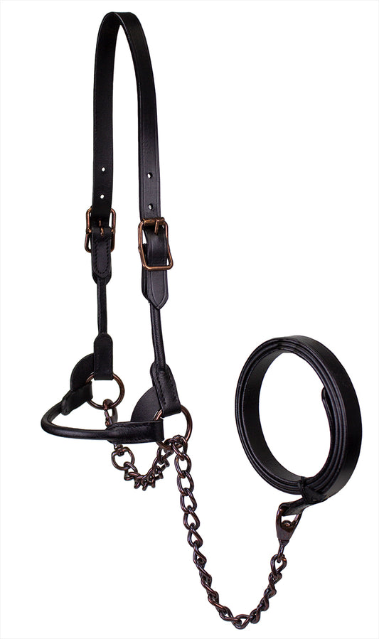 Originals Bronze Beauty Premium Round Rolled Leather Cattle Show Halter 