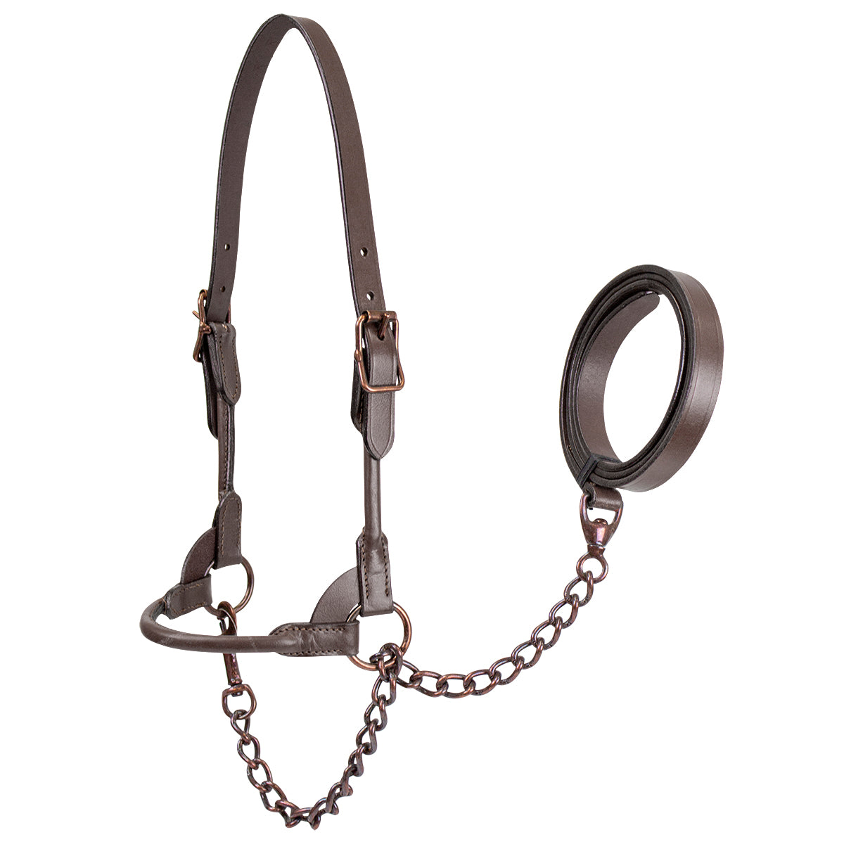 Premium Round Rolled Leather Cattle Show Halter with Matching Chain Lead  