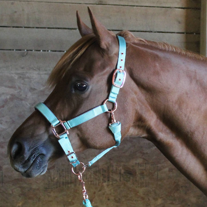 Derby Originals  Reflective Safety Stable Horse Halters 