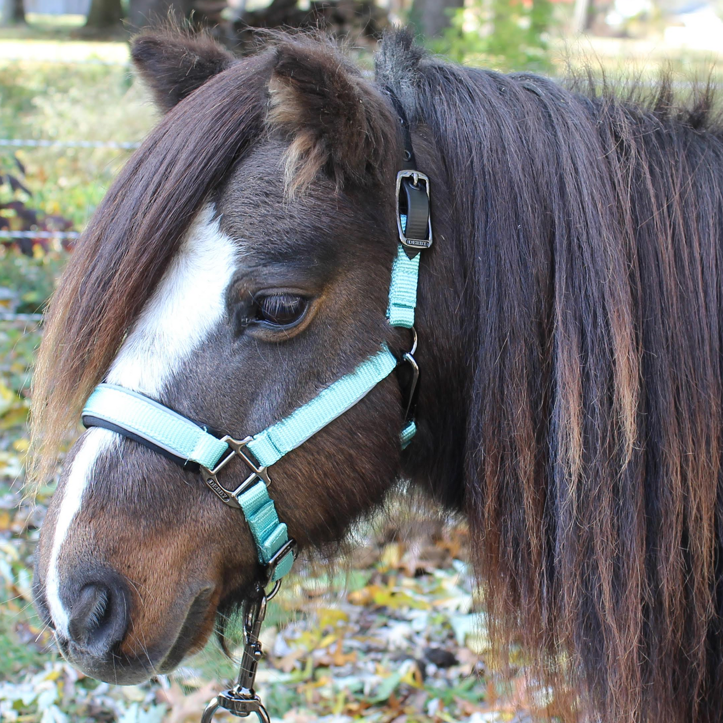 Collection Blackout Reflective Safety Stable Horse Halters  Sky blue 